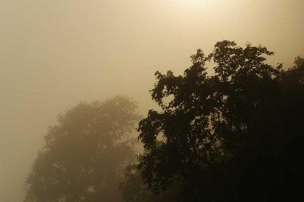 Bedroom recoating — before